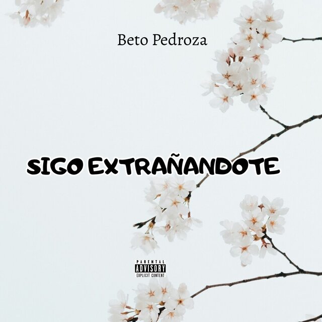 Sigo Extrañándote