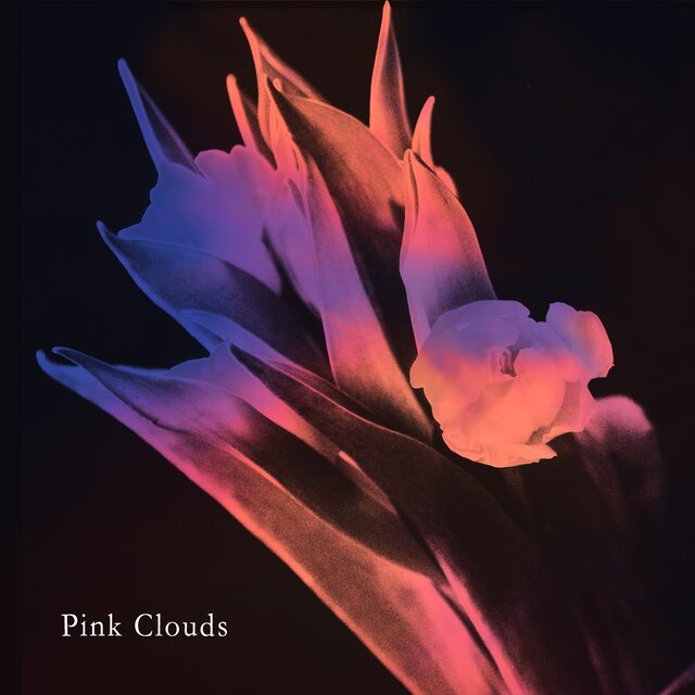 pink clouds
