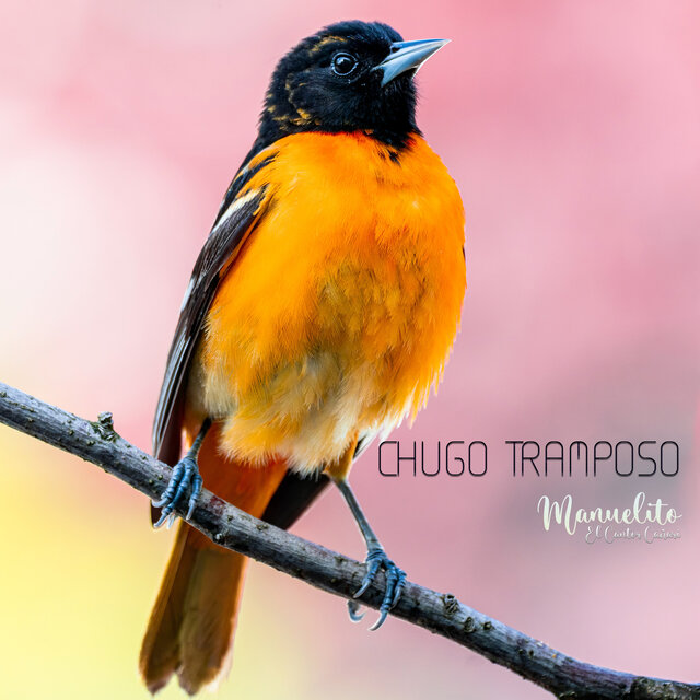 Chugo Tramposo