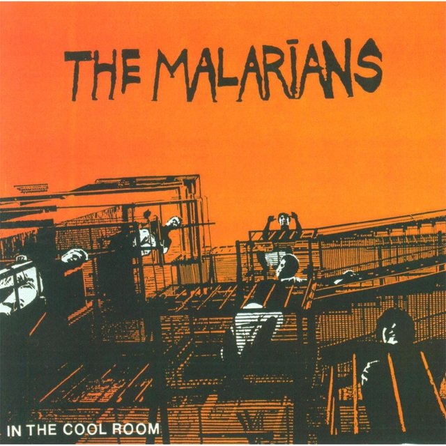 In the Cool Room