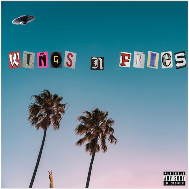 Wings n Fries