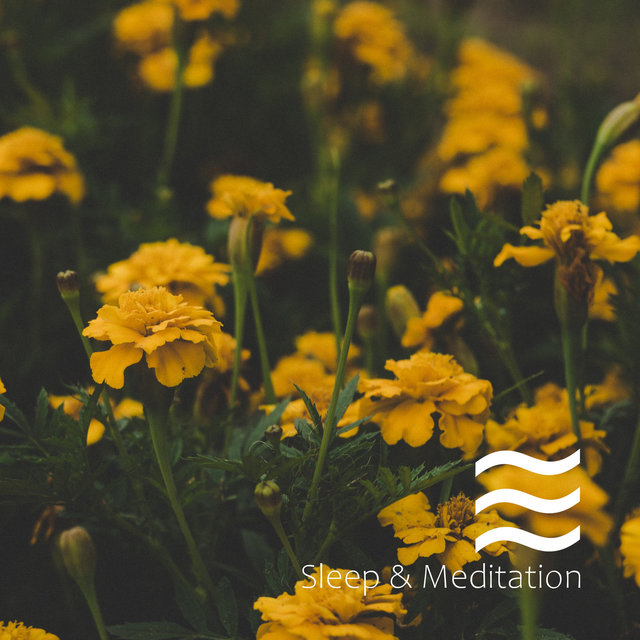 Mellow Singing Bowls for Mind Calm