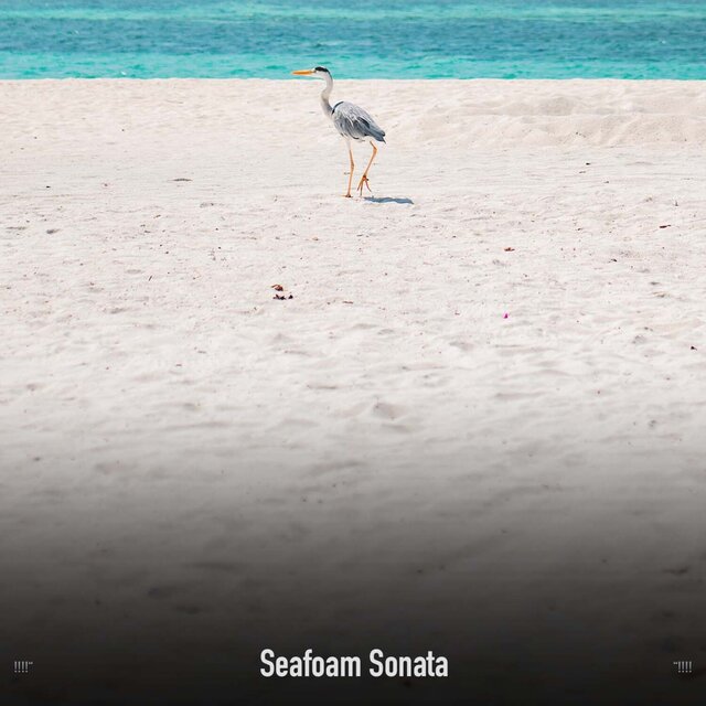 !!!!" Seafoam Sonata "!!!!