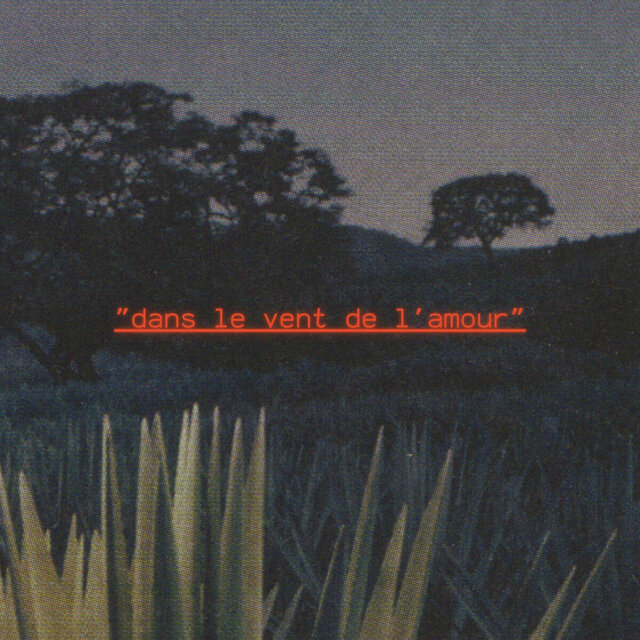 Dans le vent de l'amour