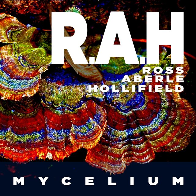 MYCELIUM