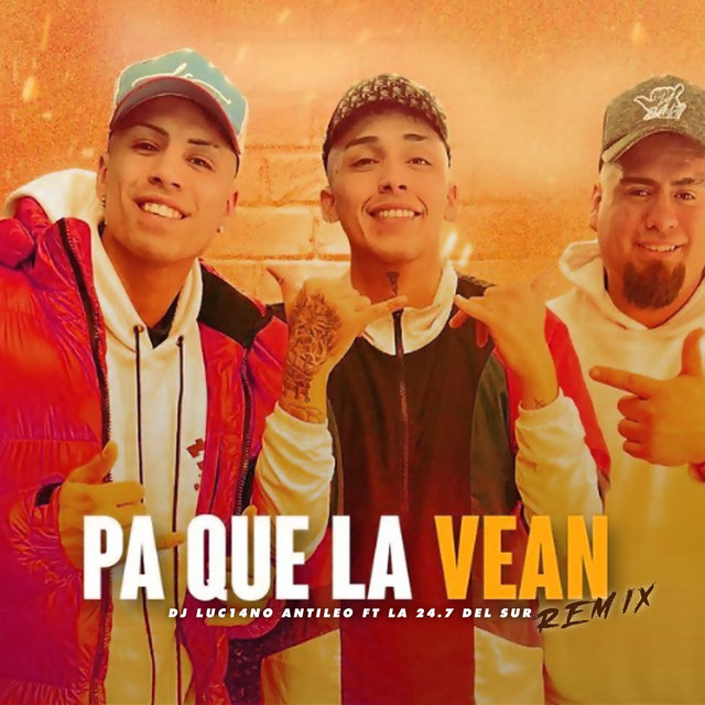 Pa Que la Vean (Remix)