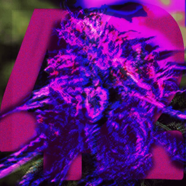 42