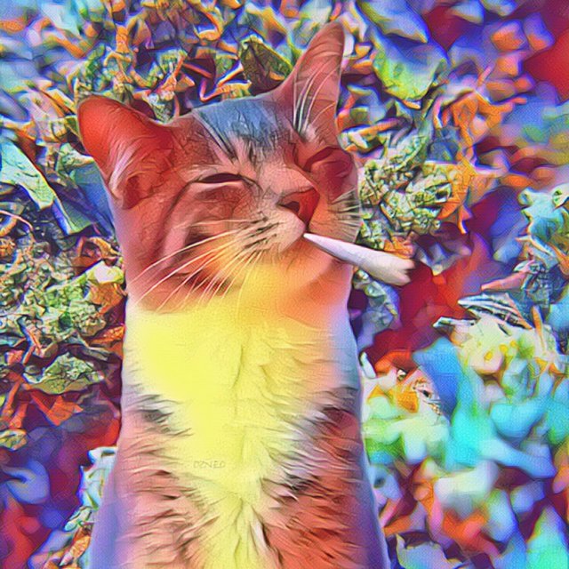 Doja Cat