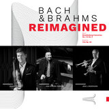 Trio in E-Flat Major, Op. 40: I. Allegro