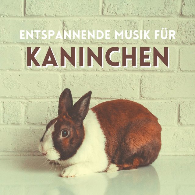 Entspannende Musik für Kaninchen