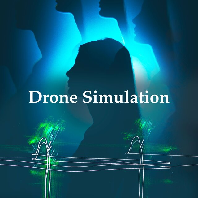 Drone Simulation
