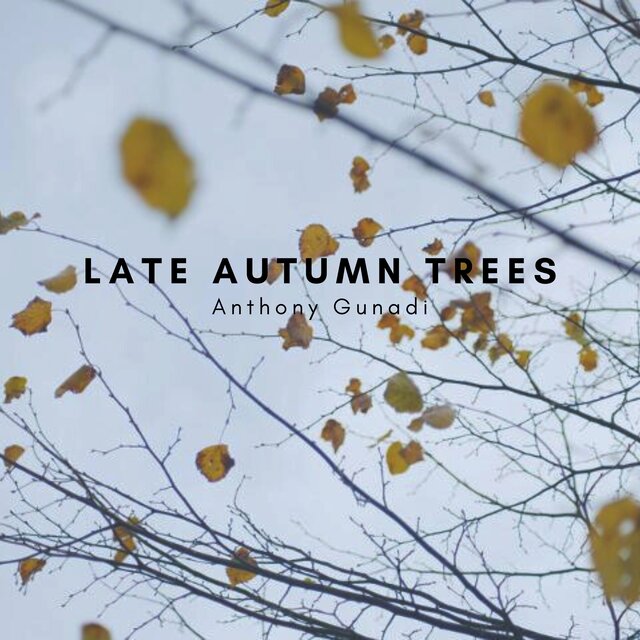 Late Autumn Trees