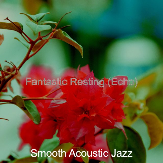 Fantastic Resting (Echo)