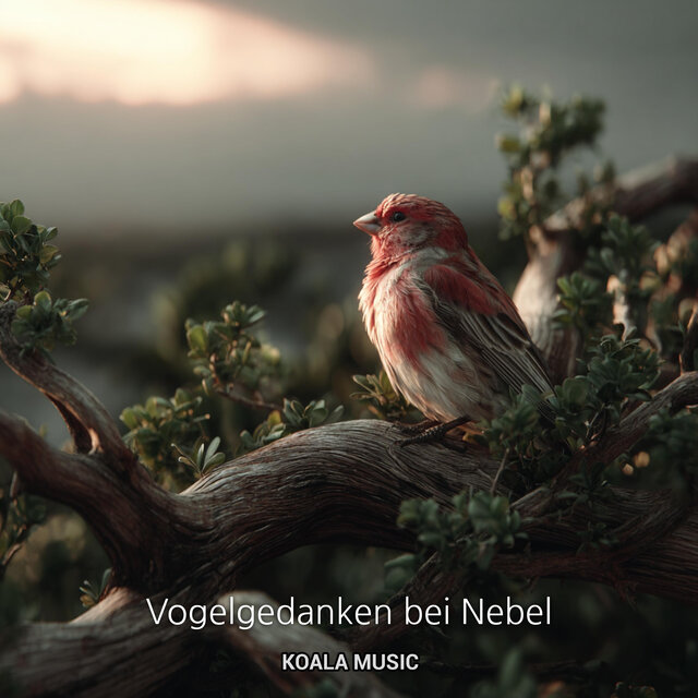 Vogelgedanken bei Nebel