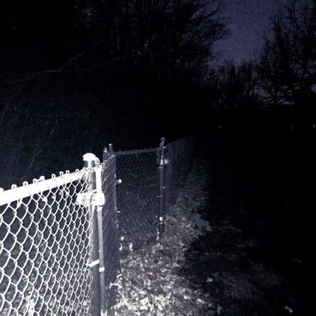 BORN SINNER