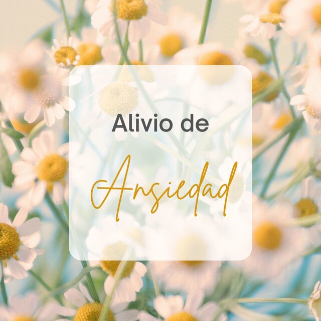 Alivio de Ansiedad: Música Tranquila para Calmar el Alma y la Mente
