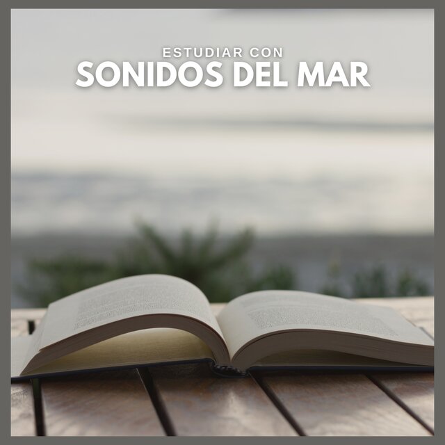 Estudiar con Sonidos del Mar