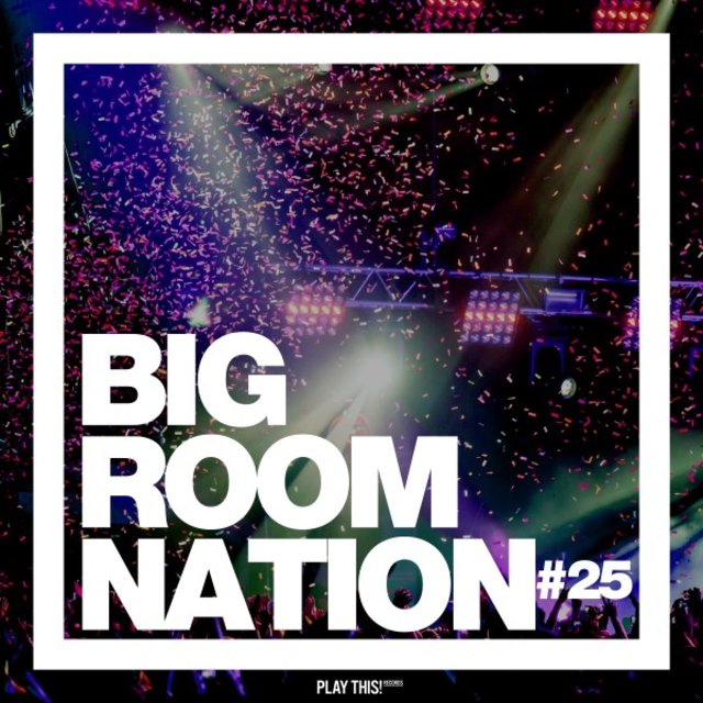 Big Room Nation, Vol. 25