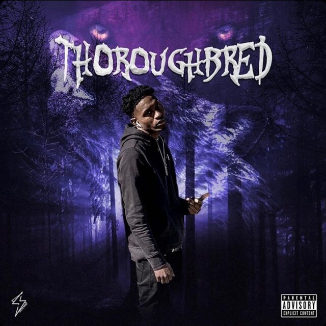 Thoroughbred