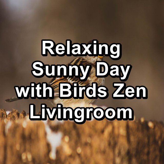 Relaxing Sunny Day with Birds Zen Livingroom