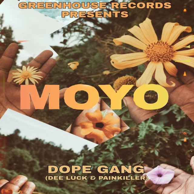 Moyo