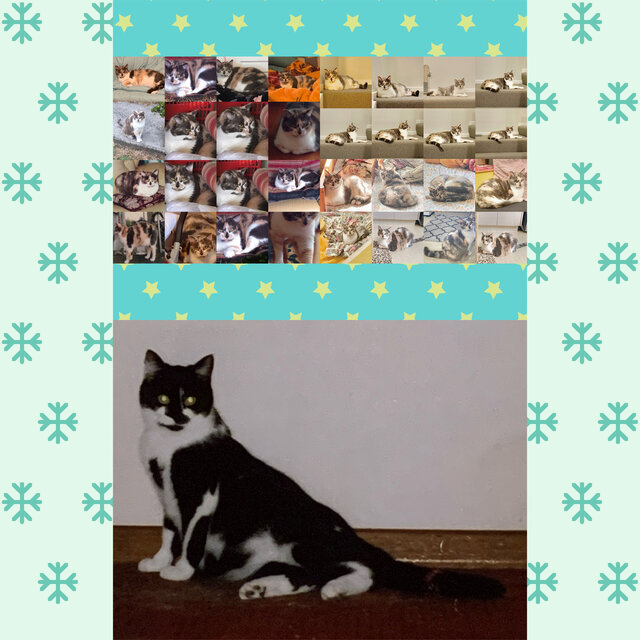 My Diary P.S. Anna, March