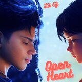 Open Heart