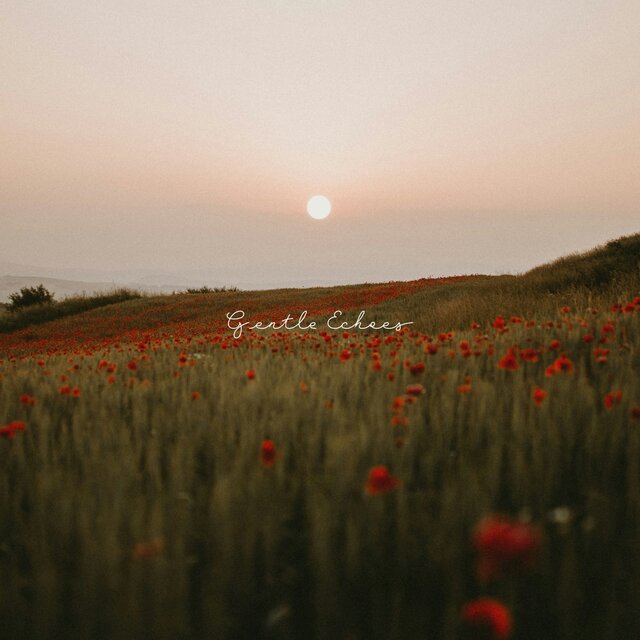 Gentle Echoes