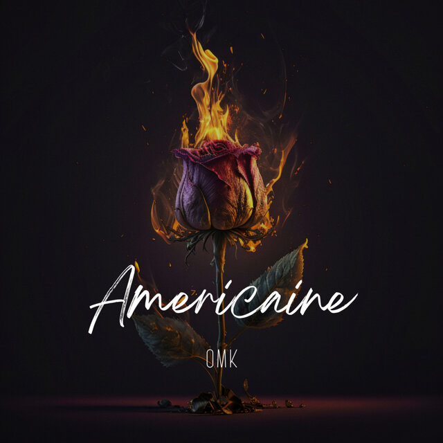 AMERICAINE