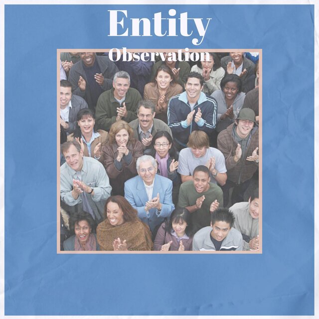 Entity Observation