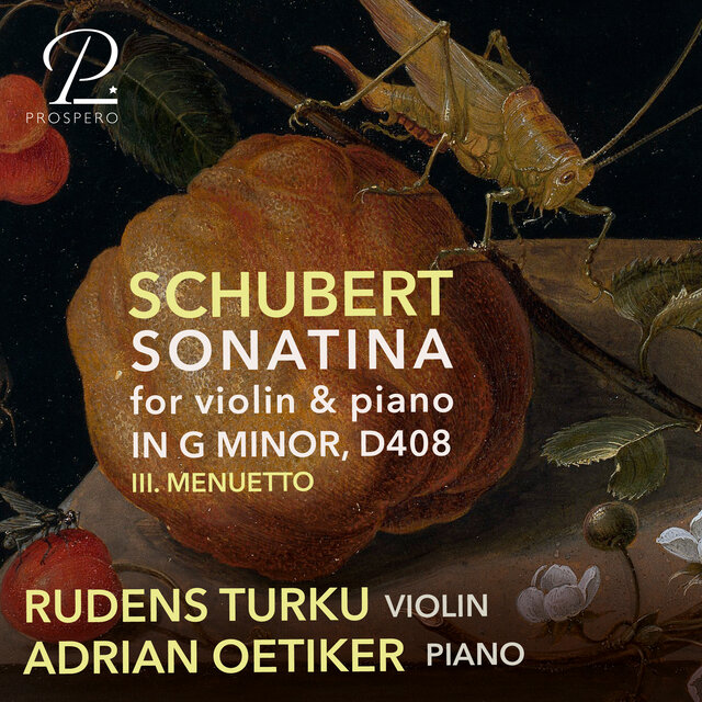 Violin Sonata in G Minor, Op. 137 No. 3, D. 408 