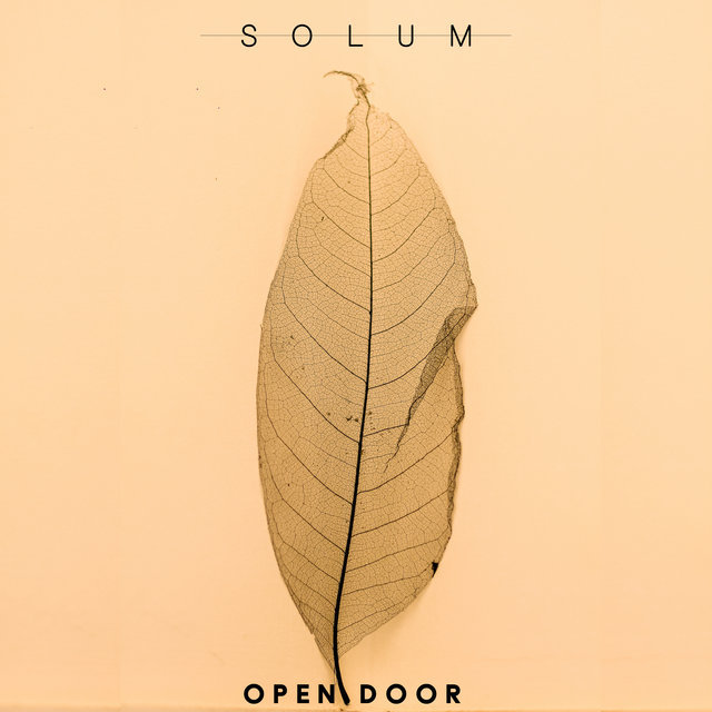 Solum