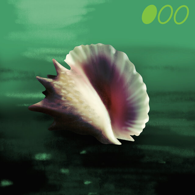 Mister Ocean