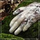Cover art for album Virtuous.scr by Antwood