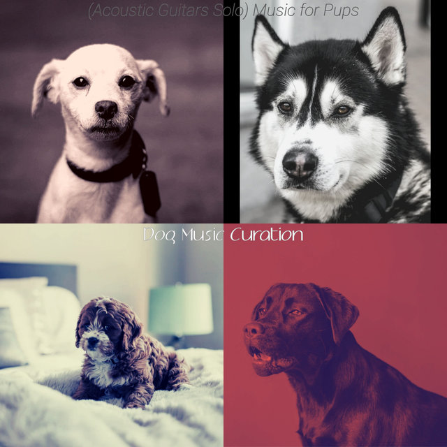 (Acoustic Guitars Solo) Music for Pups