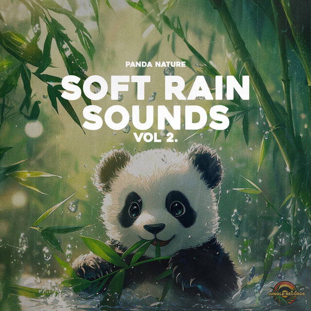 Soft Rain Sounds Vol.2
