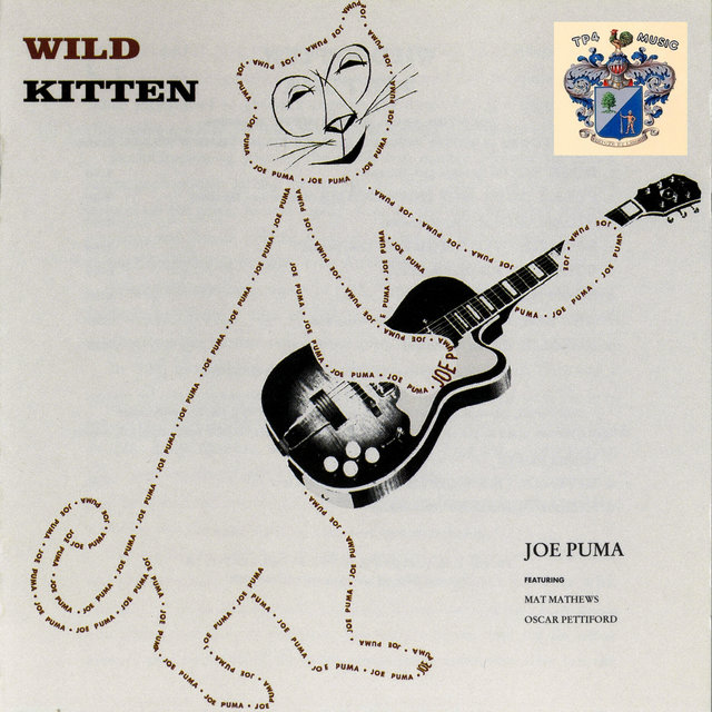 Wild Kitten