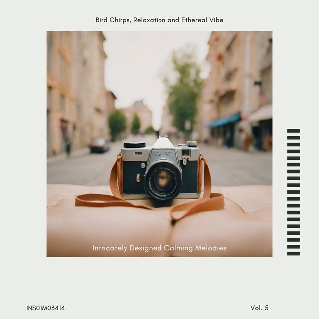 Intricately Designed Calming Melodies - Bird Chirps, Relaxation and Ethereal Vibe, Vol. 05