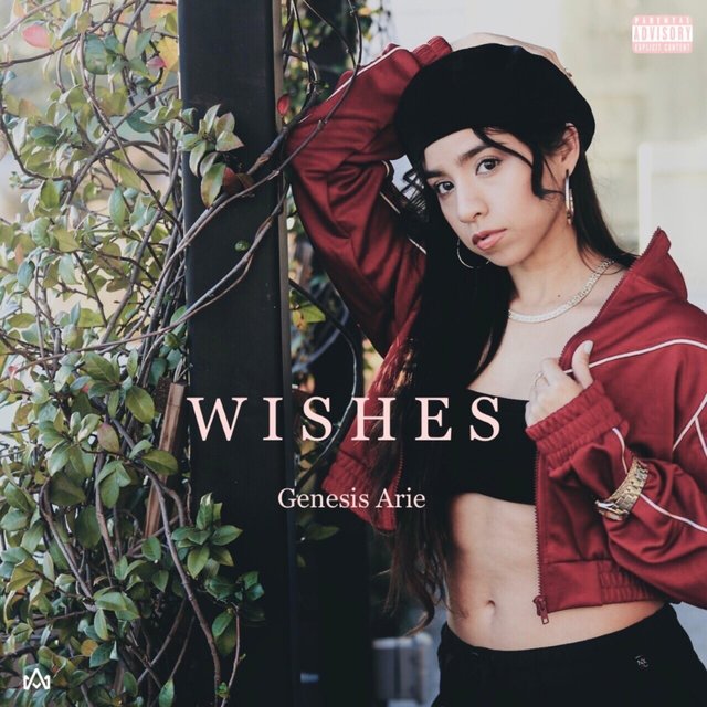 Wishes
