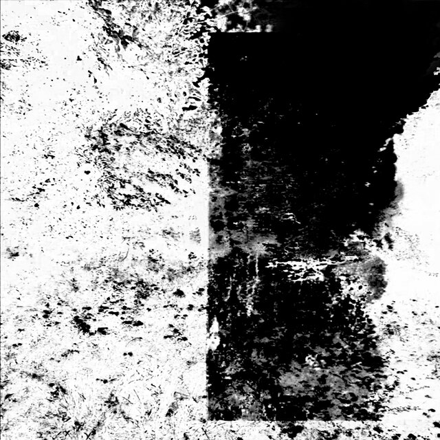 Shadow