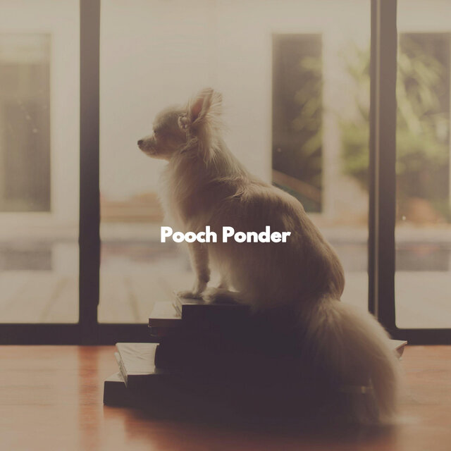 Pooch Ponder