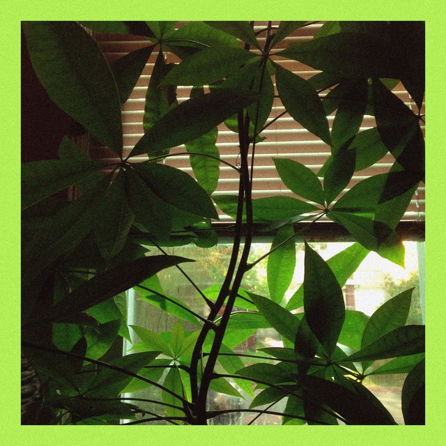 Plant Room