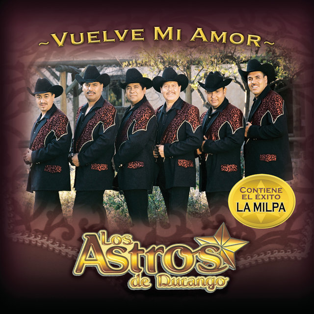 Vuelve Mi Amor