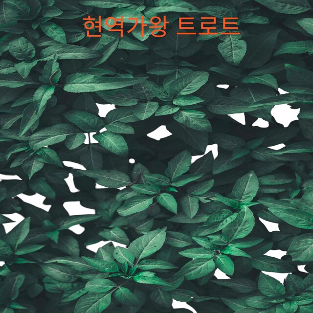 현역가왕  trot