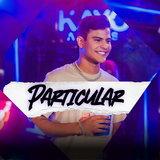 Particular