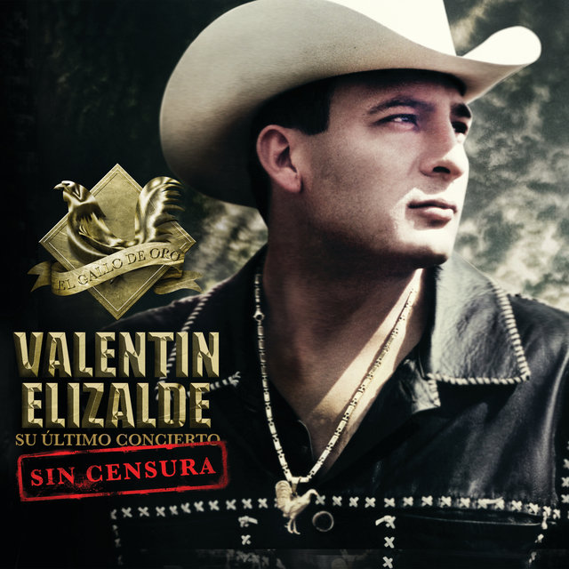 valentin elizalde on tidal