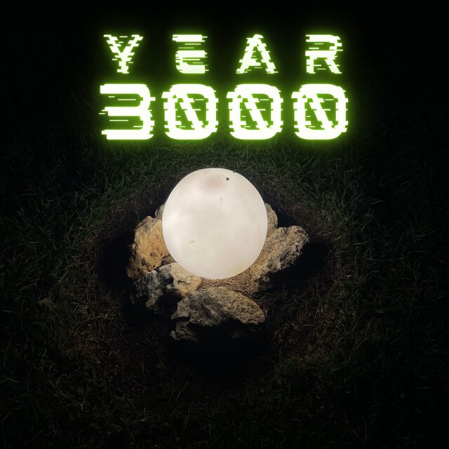 YEAR 3000