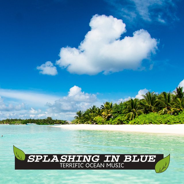 Splashing in Blue - Terrific Ocean Music
