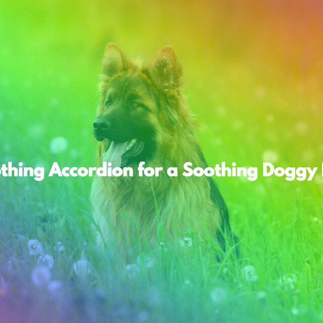 Soothing Accordion for a Soothing Doggy Lick