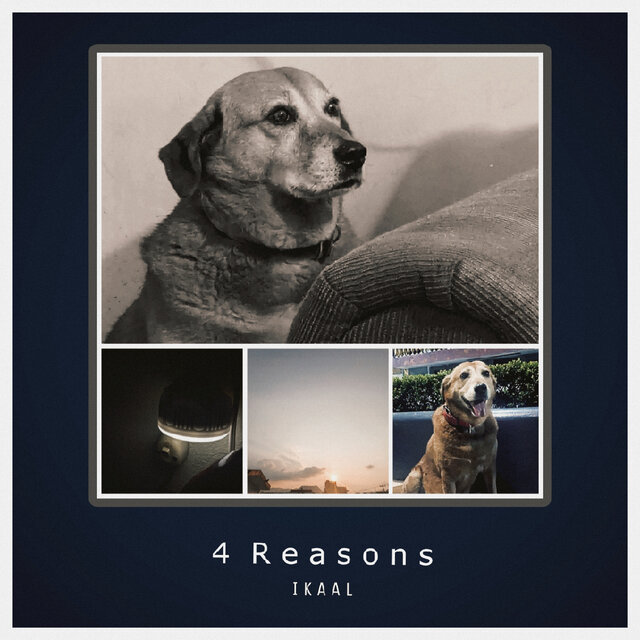 4 Reasons